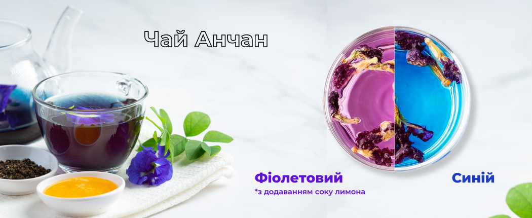Синий чай из Таиланда